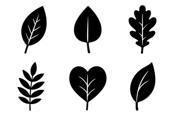 Collection of various leaf silhouettes on white
