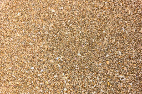 sea sand with scattered seashell remnants, natural coastal texture for summer and beach concept design. 