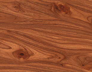 Natural Wood Grain Pattern with Rich Texture