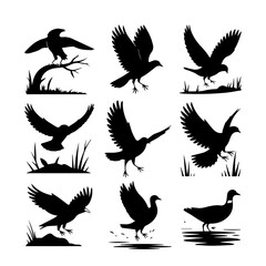 Obraz premium A person s hand holding a small green seedling