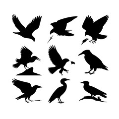 Obraz premium A black screen with no visible content