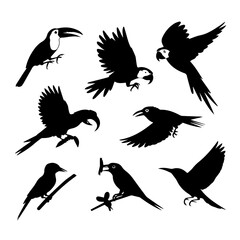 Obraz premium A black screen with no visible content