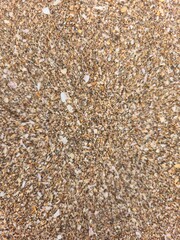 Realistic Coarse Beach Sand Under Summer Sunlight
Unedited Raw Golden Sand Texture on Seaside Shore