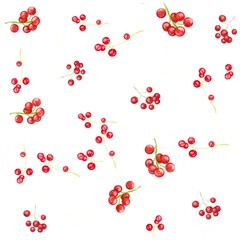berries, pattern, set of berries, summer, food, vegetarian, bright, currant, red current, wallpaper