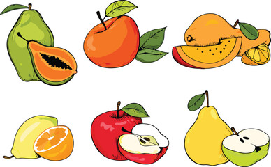 Assortment of colorful fresh fruits apple, pear, orange, papaya, and more.