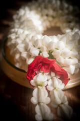 Jasmine garland, a symbol of Thai Mother's Day, photographed in the morning light.