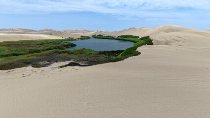 Desert oasis in Peru