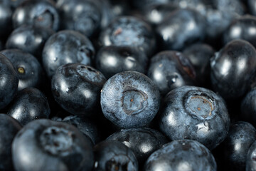 Detailed Shot of Ripe Blueberry Surface.