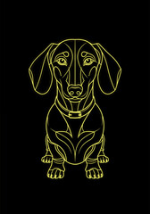 Fototapeta premium Elegant line art portrait of a dachshund dog, sitting calmly, depicted in yellow on black.