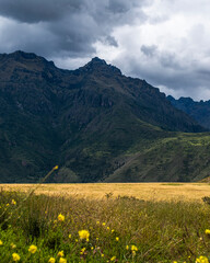 Green mountains and yellow fields in Peru