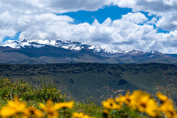 Ice covered mountains and yellow flowers in Peru