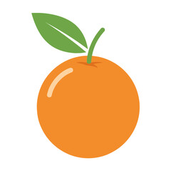 orange fruit vector illustration