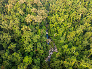 Aerial view of river in the middle of tropical rainforest
