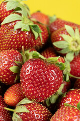 Ripe strawberries background. Sweet seasonal fruit concept.