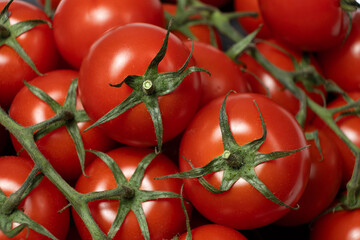 Ripe Tomatoes Still Attached to Green Stem