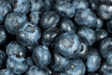Whole Fresh Blueberries in Pile. Juicy Summer Fruit Texture
