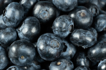 Macro View of Organic Blueberries. Natural Berry Background.