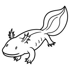 Axolotl line art vector