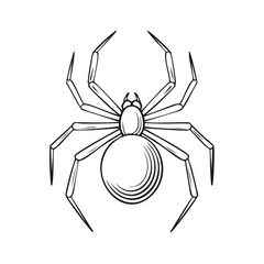 Simple Line Art Illustration of a Black and White Spider with Large Body and Eight Legs Ready to Strike