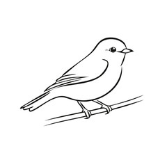 Minimalist Line Art Drawing of a Small Bird Perched on a Branch