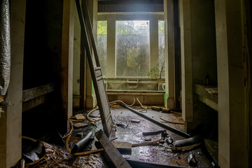 Old abandoned hotel in the jungle. Shabby walls. Beautiful abandoned hotel.