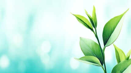 Vibrant Green Leaves Against Soft Blue Background for Nature Theme