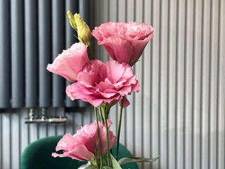 Pink eustoma flowers in a vase on the table. Space for text.