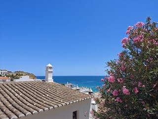 Dach und blühender Oleander in der Algarve