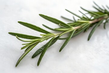 Fototapeta premium Twig of rosemary.