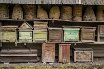 beehives