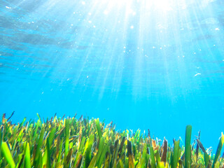 Ocean blue underwater with sunrays, Underwater Sea Deep Water Abstract Sunshine, sea wave , clean...