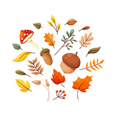 set of autumn elements on white background