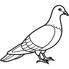 Dove line art vector