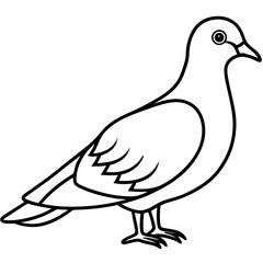 Dove line art vector