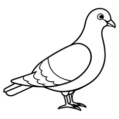 Dove line art vector