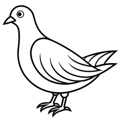 Dove line art vector