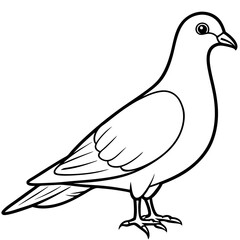 Dove line art vector