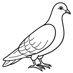 Dove line art vector
