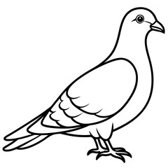 Dove line art vector