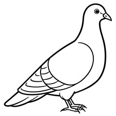Dove line art vector
