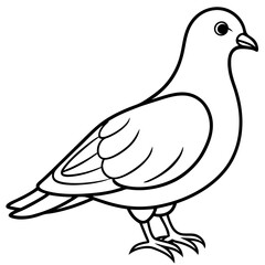 Dove line art vector