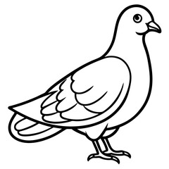 Dove line art vector