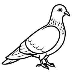 Dove line art vector