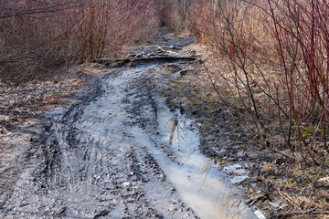 A dirt road through a forest with large muddy puddles in early spring