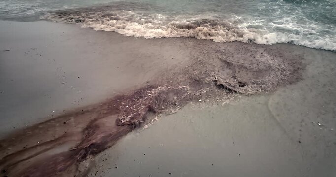 Dark rivulet of rain soaked sand bleeds across the wet beach and into the churning sea.