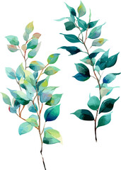 Green Watercolor Leaf Branch – Botanical Foliage Clipart for Nature Design, transparent background