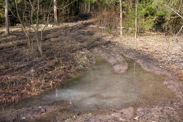 A dirt road through a forest with large muddy puddles in early spring