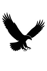 Obraz premium eagle in flight