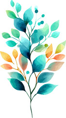 Watercolor floral illustration, Watercolor floral illustration - wildflowers individual element bright peach color, white, pink, blue flowers, rose, transparent background.