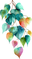 Branch with green leaves, multicolor summer Falling Orange Flower Petals watercolor illustration on white